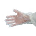 Natur-Tec Disposable Gloves, XL, 2400 PK NT1095-X-00003